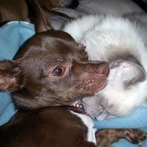 Meet your Posher, Suzanne